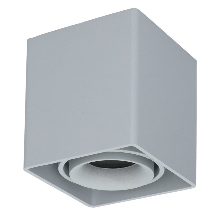Dimbare LED Opbouwspot/plafondspot plafond Esto Grijs incl. GU10 spot 5W 4000K IP20 kantelbaar